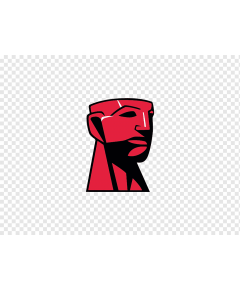Kingston Technology