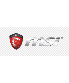 MSI